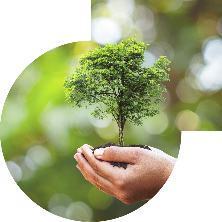 关怀人类、文化、环境与社会